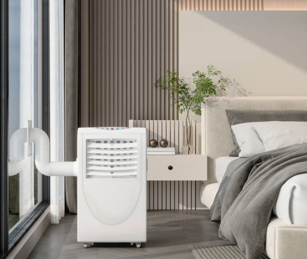 Best Local HVAC Companies  in Roebuck, SC