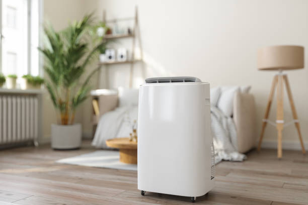 Best HVAC System Installation  in Roebuck, SC